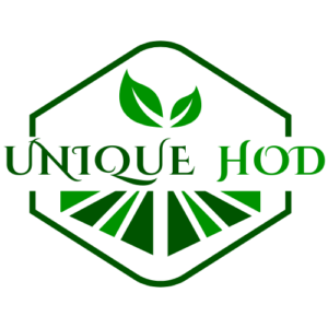 UniqueHOD Logo Knoxville